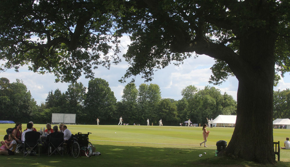 Cricket on Jubilee on OC Day 2014